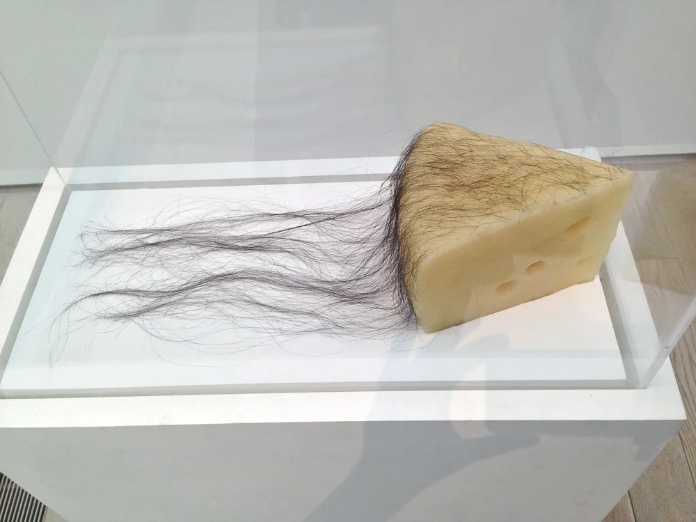 Gober's Long-haired Cheese